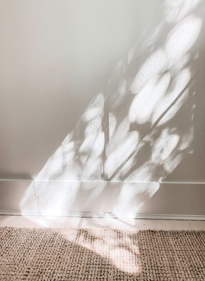 Shadow-VSCO