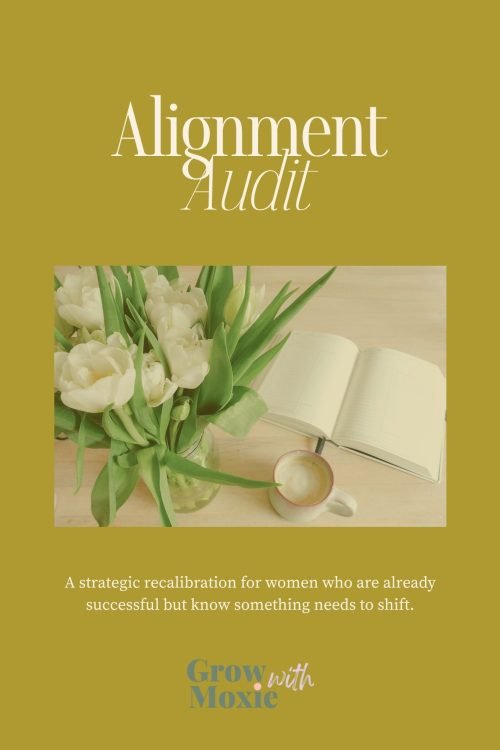 The Alignment Audit